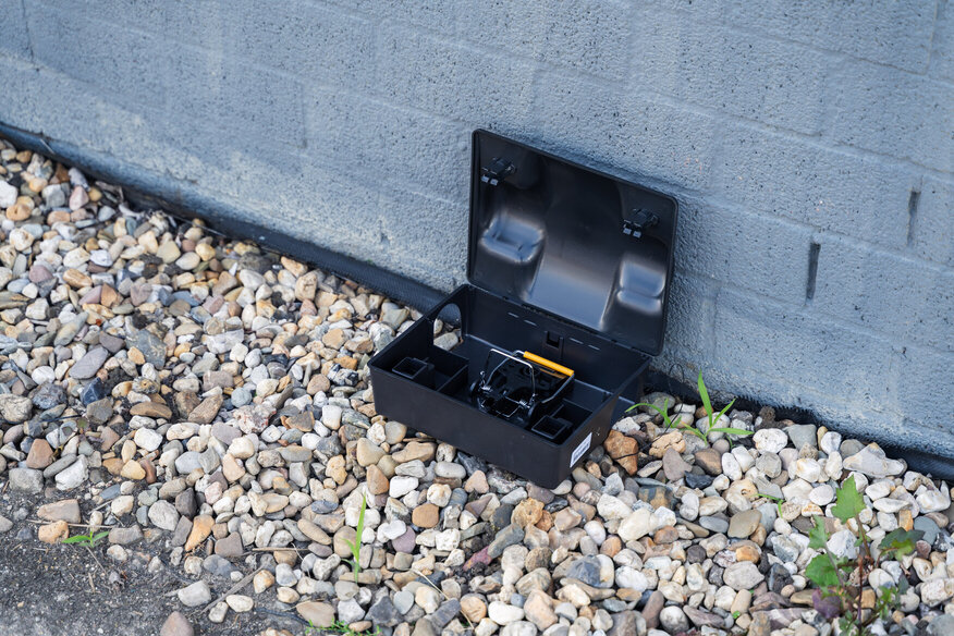 Ongediertebestrijding in Zuid Holland