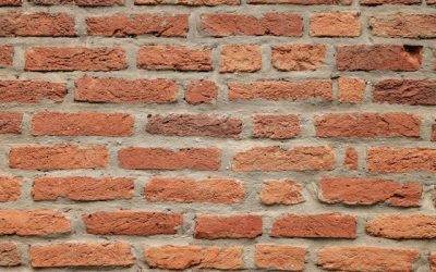 Wespen in de muur of een wespennest in de spouwmuur: wat moet je doen?