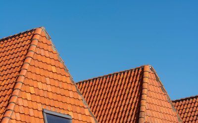 Wespen onder het dak