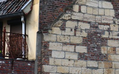 Muizen in de muur: hoe herken je ze en wat kun je doen?